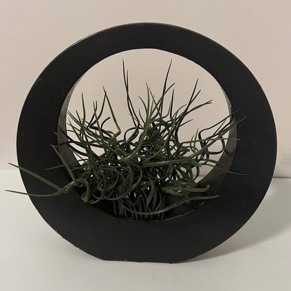 Pier 1 Imports Faux Tillandsia Air Plant Brown Ring Tabletop Centerpiece 12"